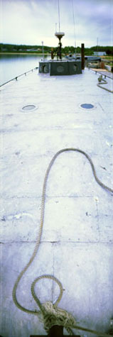 fred landis :: the vagabond